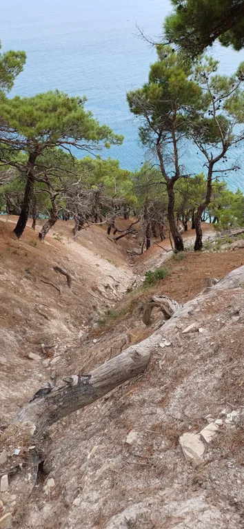 2-комнатная квартира на берегу моря