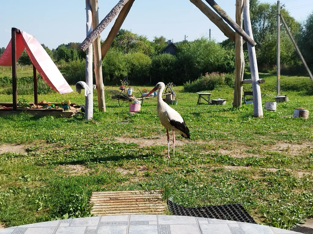 Дом для большой компании на Браславских озерах
