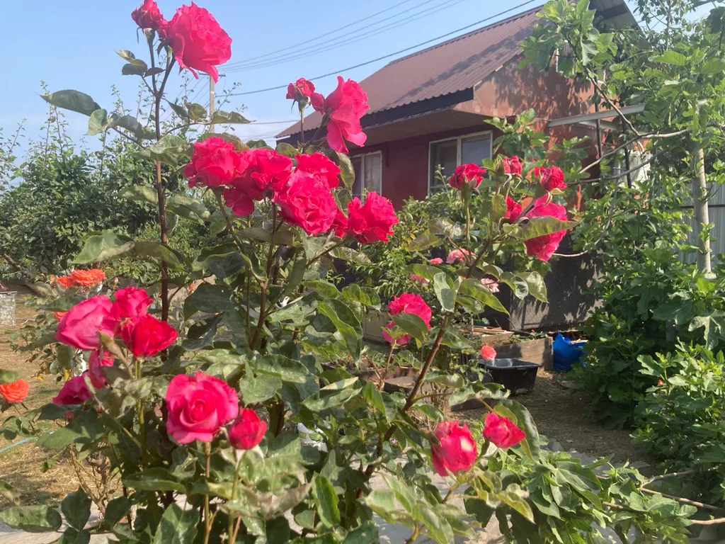 Уютный гостевой домик For Two