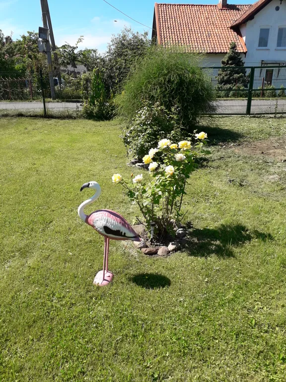 Коттедж Дом на Куршской косе — Рыбачий