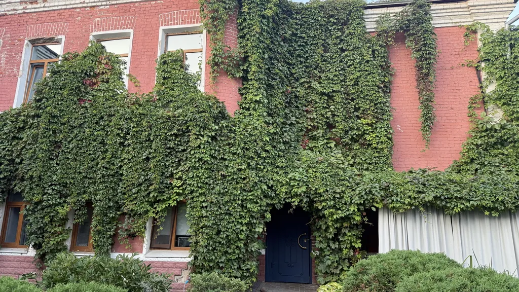 Эксклюзив - дом-сад у главной елки Ярославля, катка Советской площади