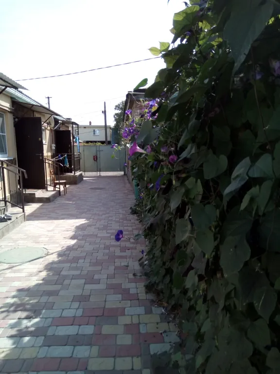 Дом в центре