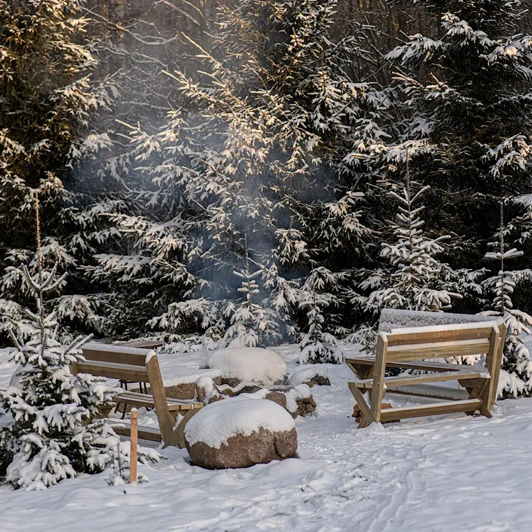 Коттедж Барнхаус на озере с видом на лес — Мичуринское