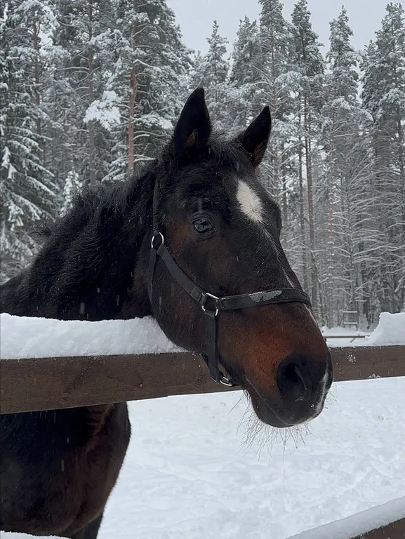 Коттедж Современный загородный дом со всеми удобствами рядом с озером — Борисово