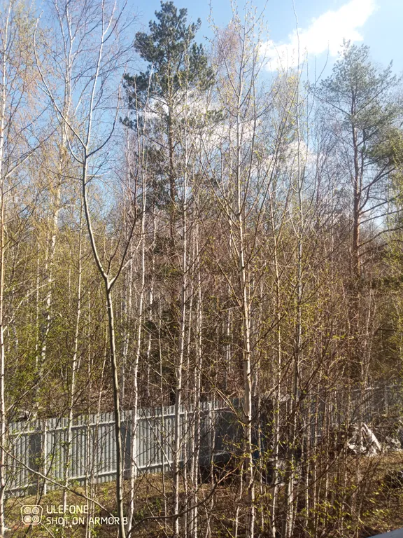 Дом рядом с конно-спортивным комплексом Дубрава