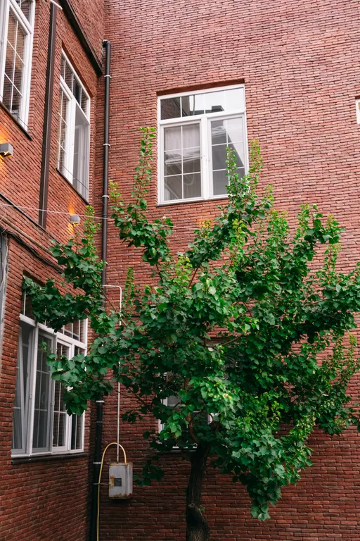 Дом на Вере в старом Тбилиси