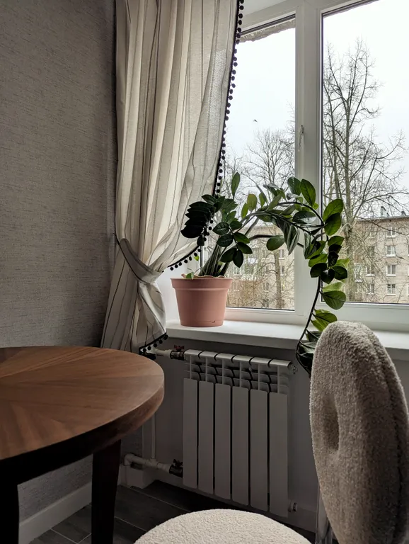 Квартира в центре у парка