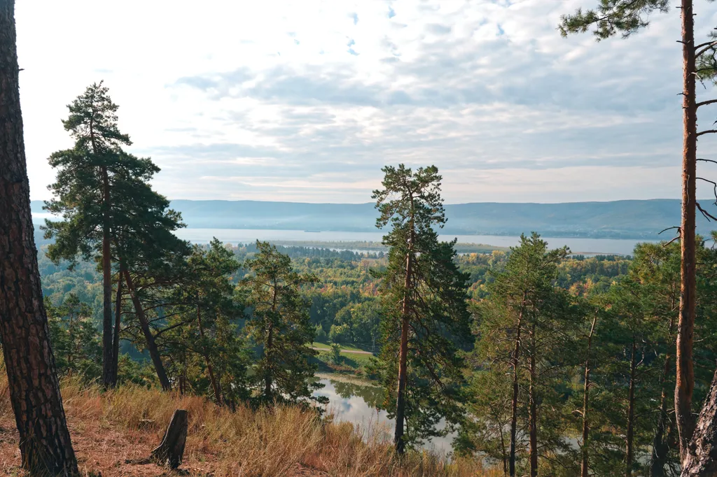 Премиум дом на острове у воды: прогулки, барбекю и полное уединение