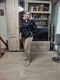Полина