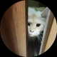 Юлия