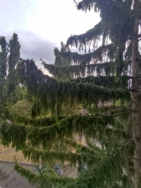 Уютная квартира на Ромашке