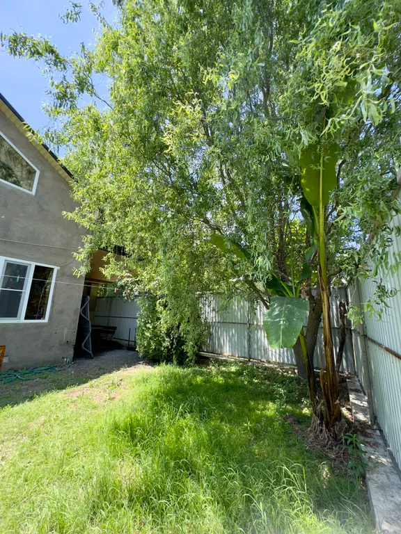 Уютный домик у моря в единственном лиановом лесу в России