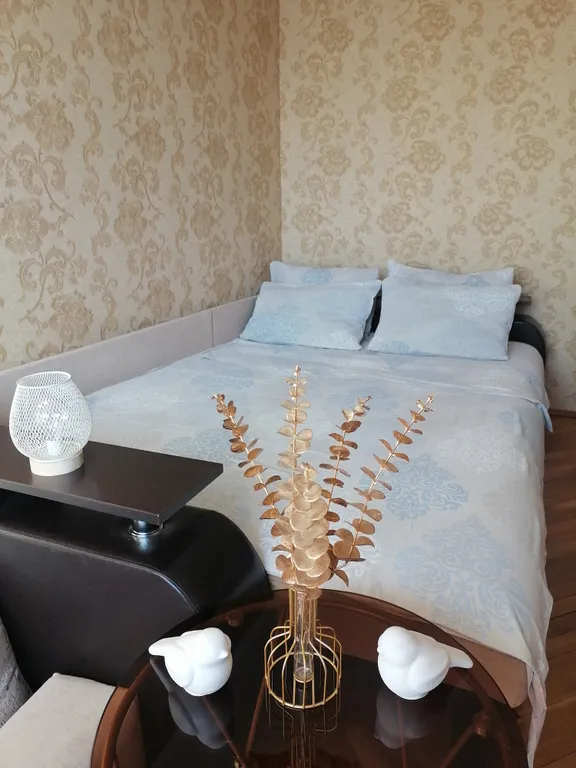 Квартира в самом центре города в 7 минутах ходьбы от Аллеи Фонарей