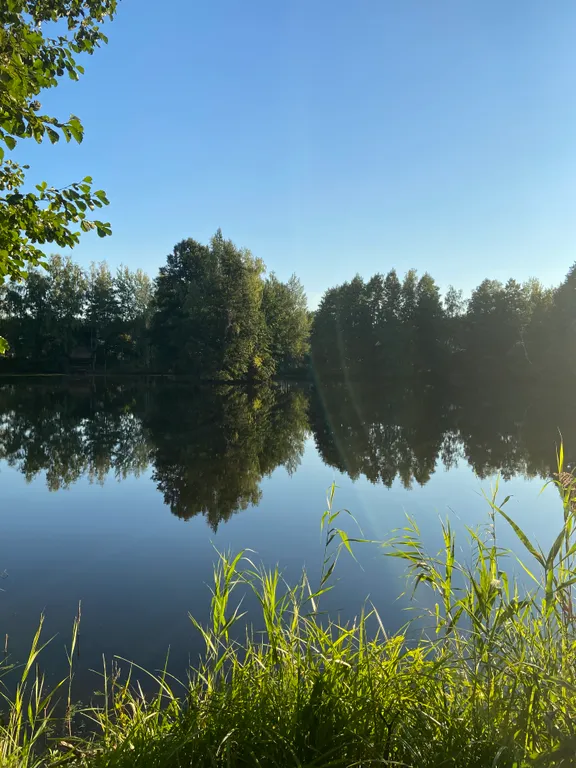 Большой дом среди сосен