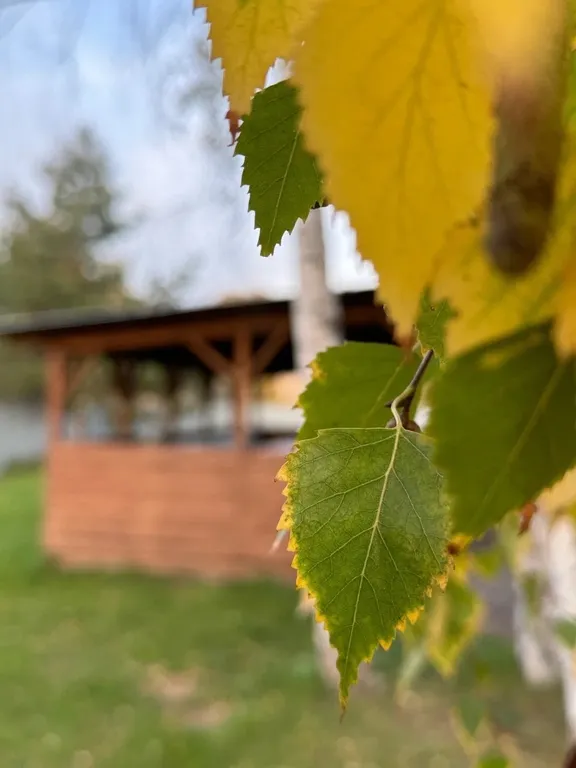 Новый рубленный дом в центре Ижевска, с баней и бассейном