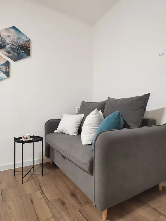 Квартира Уютная 1-комнатная квартира в Покровке — Красноярск