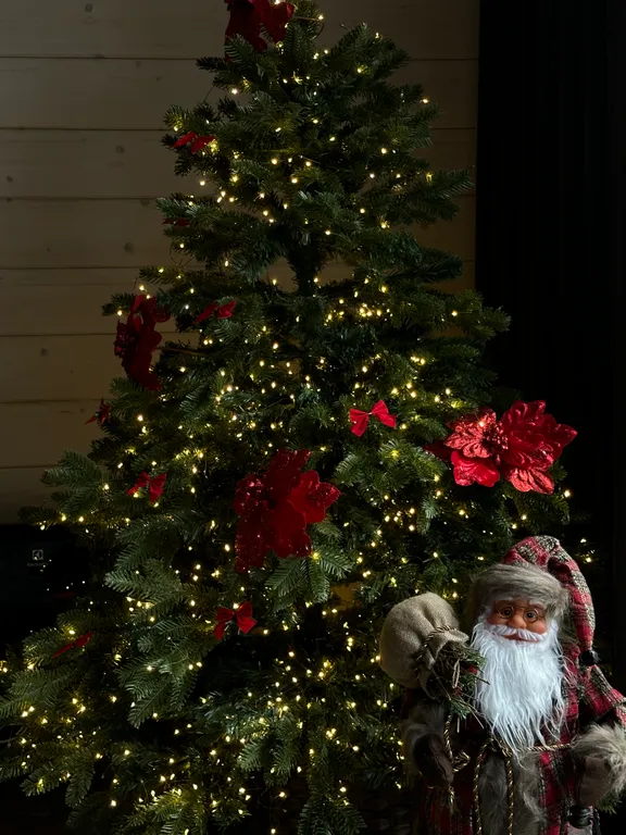 Дом на семью или компанию в лесу у большой воды