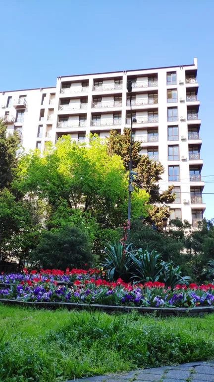 Квартира Уютная квартира в самом центре — Адлер