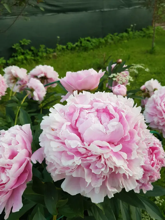 Дом с сауной у озера