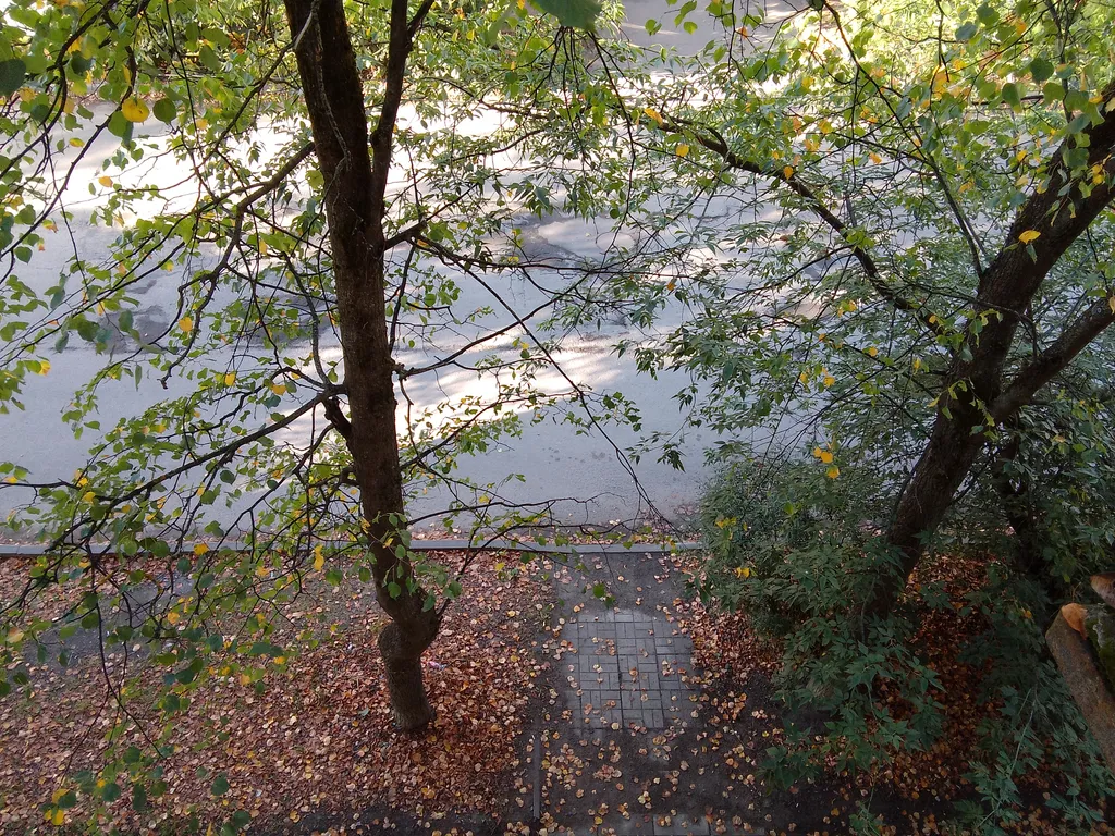 Отдельная комната в центре