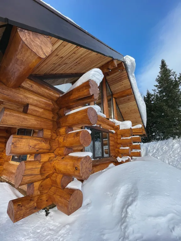 Шикарный дом из бревна