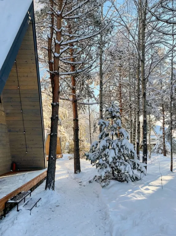 Домик A-Frame с купелью 60 м2