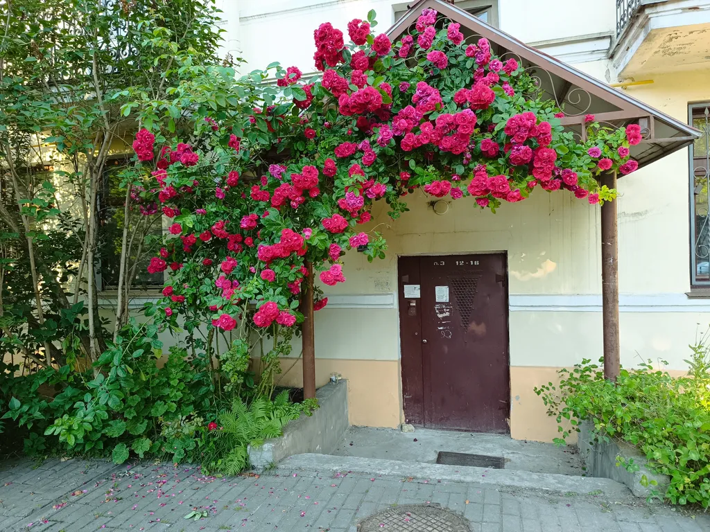 Уютная трёхкомнатная квартира в центре