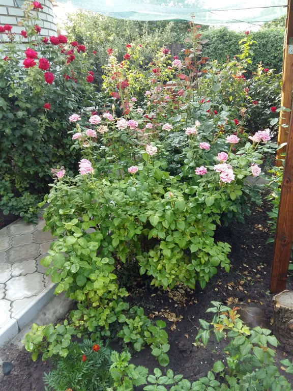 Коттедж Коттедж в экологической зоне — Волгоград