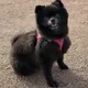 Кристина