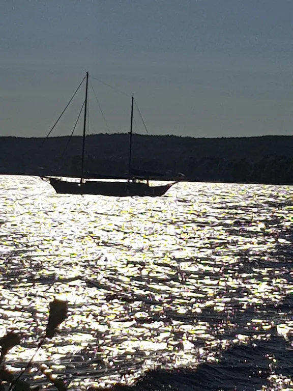 Номер в гостевом доме ранта в сосновом бору 50 м от онежского озера