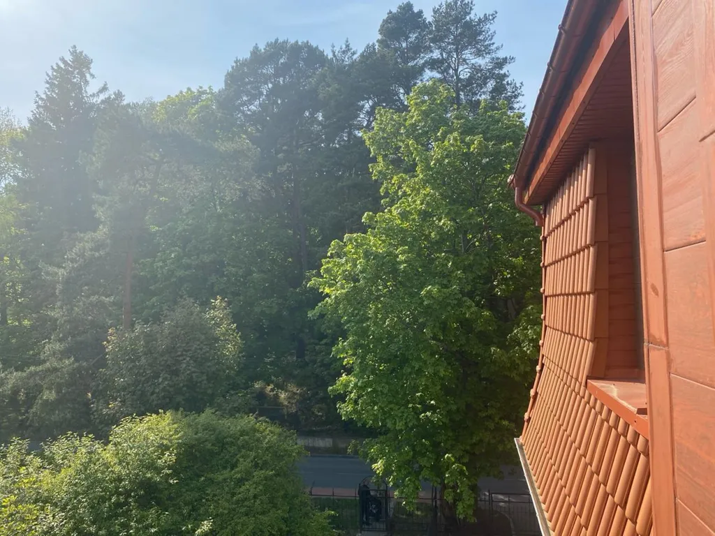 Квартира Уютная квартира — Светлогорск