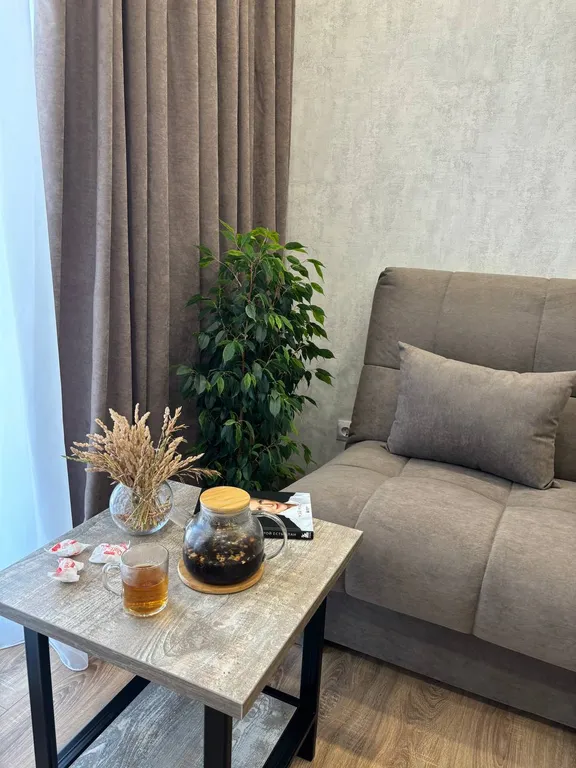 Комфортная квартира в Ньютоне