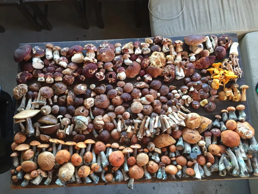 Коттедж Домик на море, на первой линии — Приморск