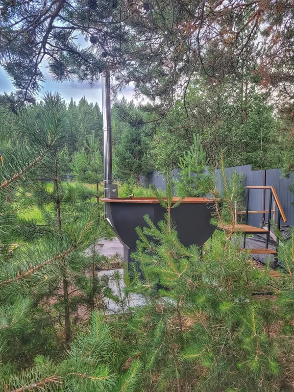 Дом в сосновом лесу