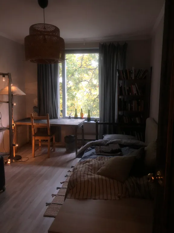 Cozy single room near Skolkovo Innovation Center
