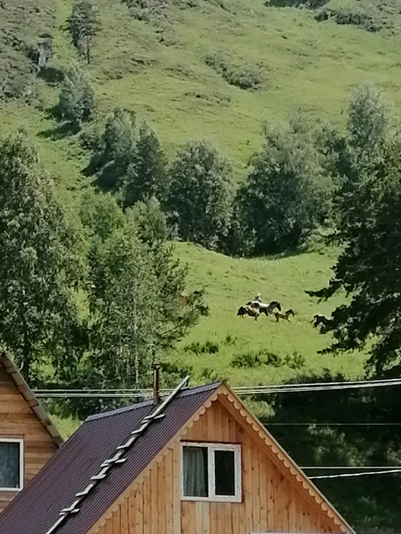 Домик в горах Алтая