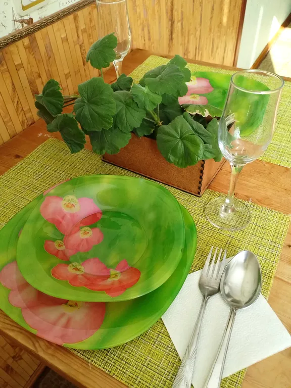 Уютная и чистая квартира в центре города