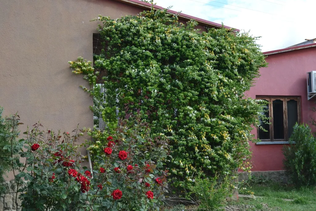 Уютный коттедж с бассейном с морской водой