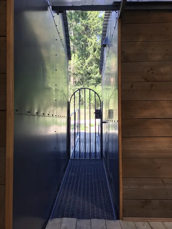 Домики на берегу Ладоги среди векового леса