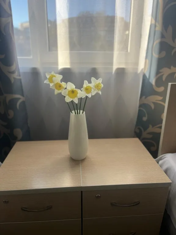 Квартира Квартира Комфорт 2-х местный (с 2-мя разд кроватями) — Адлер