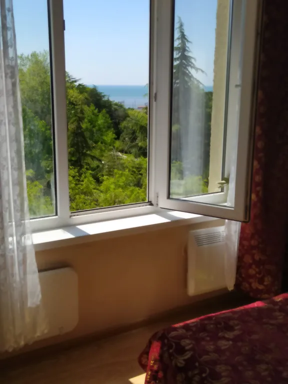 Квартира Апартаменты с видом на море — Адлер