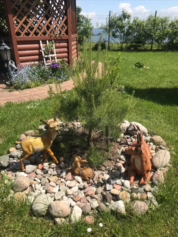 Берег мечты