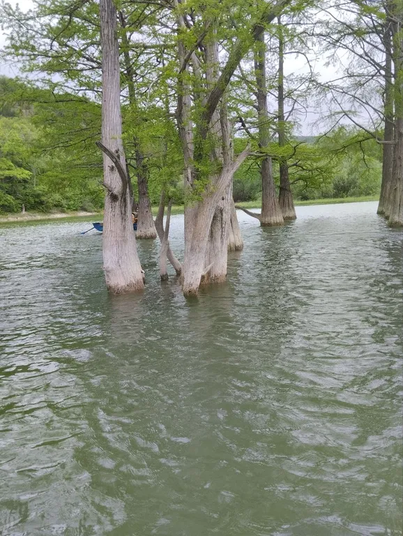 Новая студия-комфорт с бассейном и балконом в ЖК Кипарис Holiday house