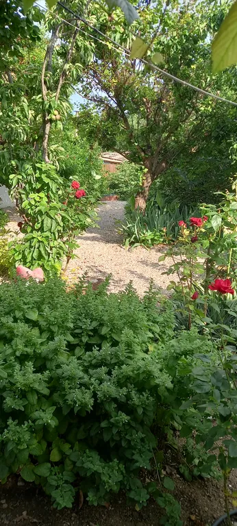 Уютный дом в центре