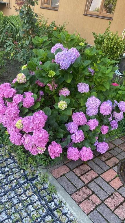 Квартира Новая светлая квартира-студия в Сочи недалеко от моря — Лазаревское