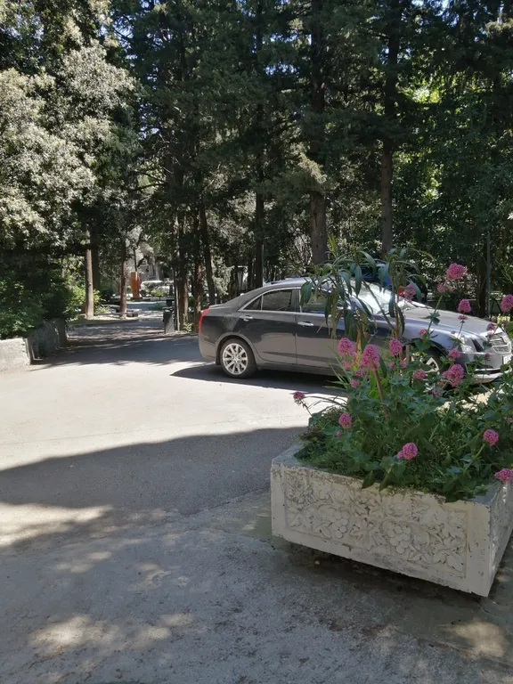 Квартира Уютная квартира в центре — Ялта