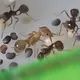 Василий