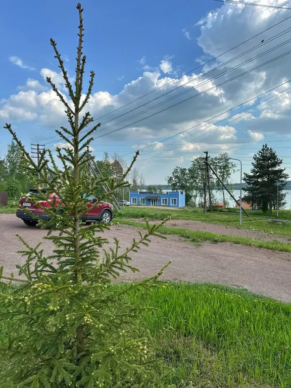 Квартира Семейный апартамент с просторной гостиной и просторной спальней — Мичуринское