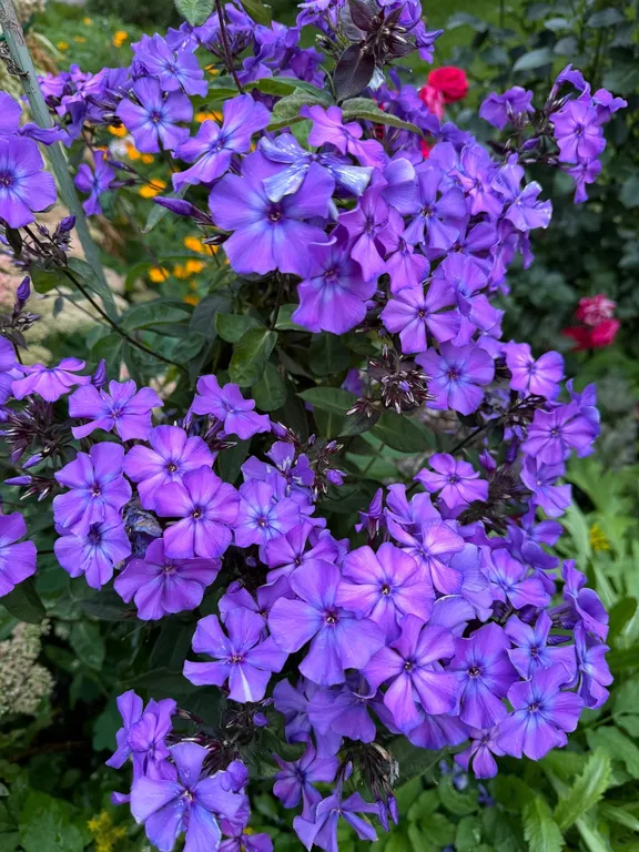 Уютные дома на волге в белогорке - ваш идеальный отдых на природе