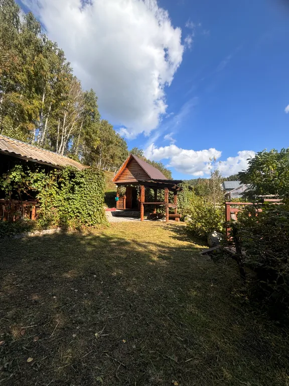 Отдых на Алтае